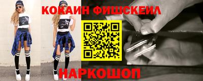 крисы Кандалакша