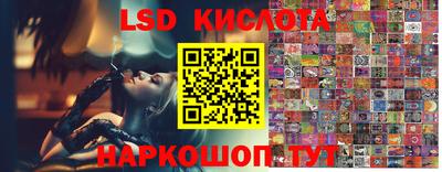 шишки Камышлов