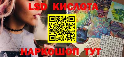 шишки Камышлов