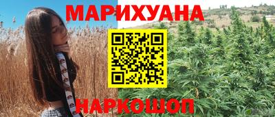крисы Кандалакша