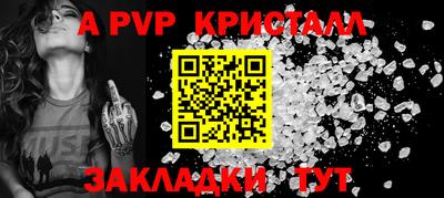 шишки Камышлов