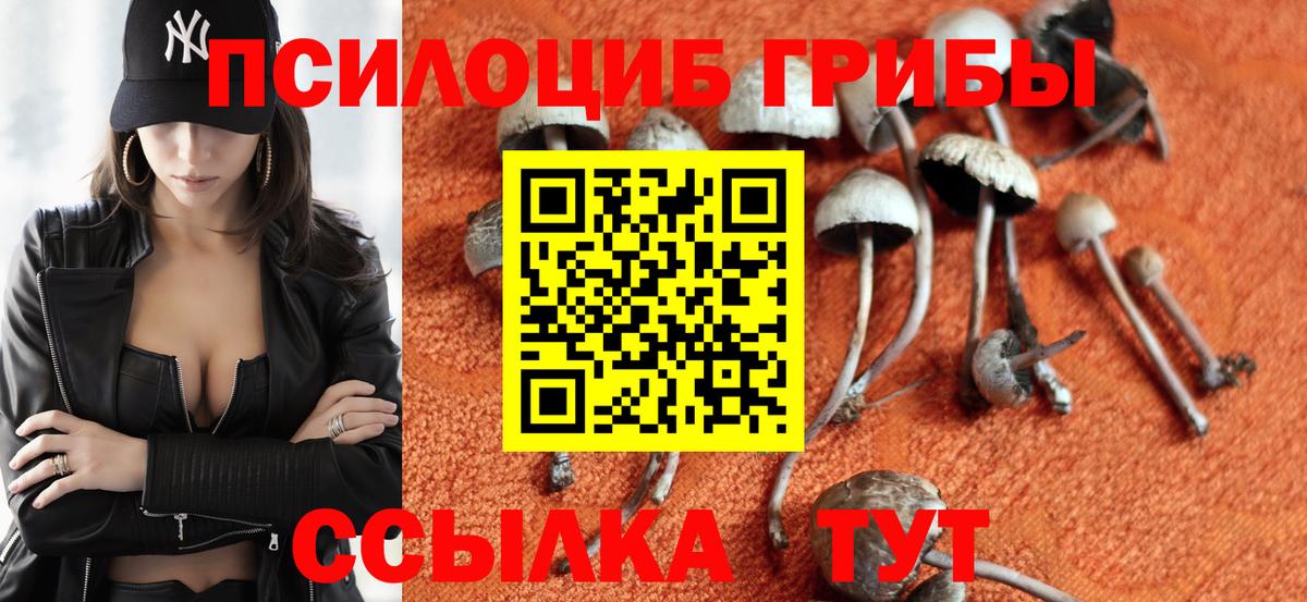 Галлюциногенные грибы GOLDEN TEACHER Хабаровск