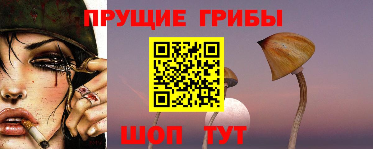 Галлюциногенные грибы Psilocybe  Хабаровск 